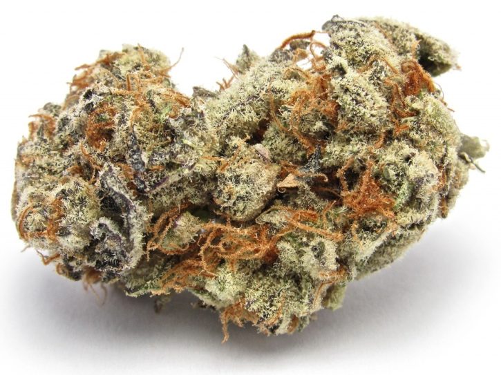 Buy Birthday Cake Kush | B-Day Cake Kush Strain Online