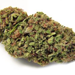 Atomic OG Riverside Dispensary Inland Empire 420 Supply