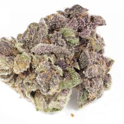 Extreme Cream Strain
