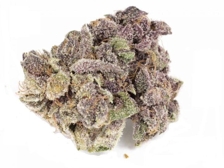 Extreme Cream Strain