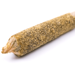 Buy Moonrock Joint Prerolls Online