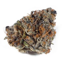 Sunset Sherbet