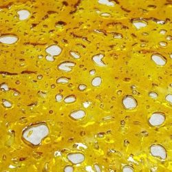 Buy White Rhino Shatter Online