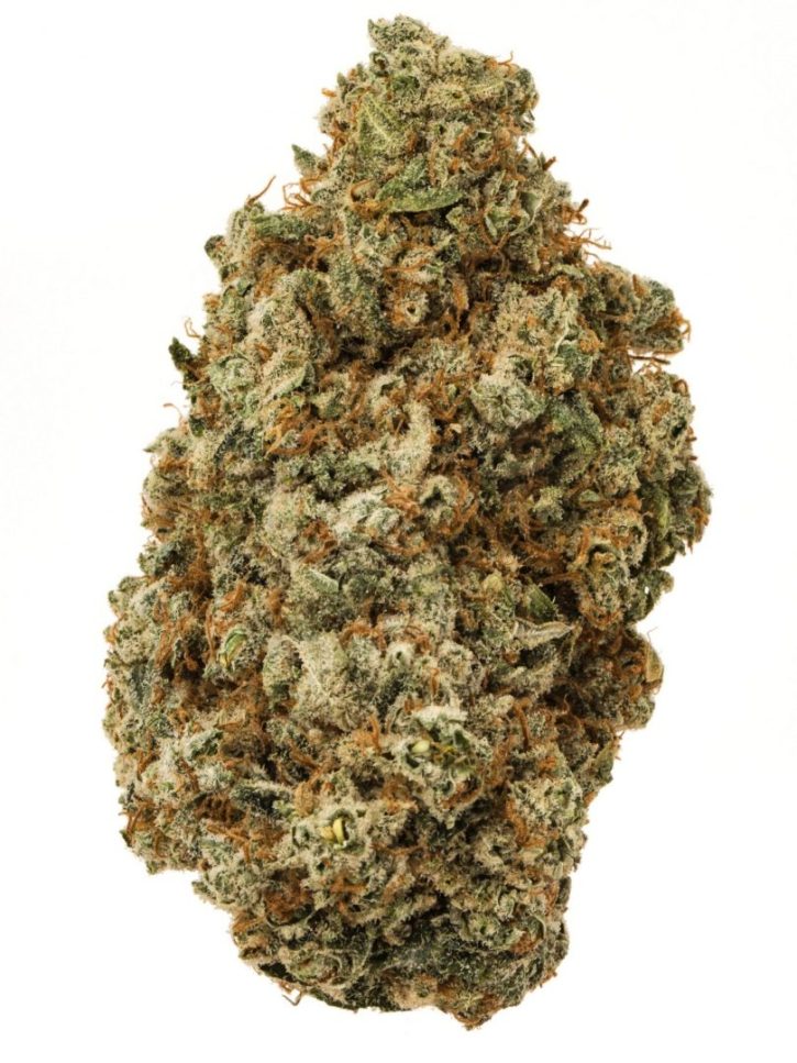 Apple Pie Strain Sativa Flower - IE 420 Dispensary