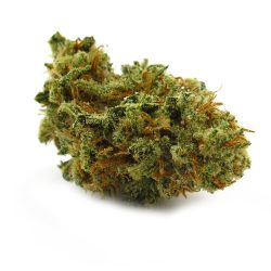 Alaskan Thunder Fuck Strain (ATF)