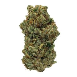 King Louis XIII Strain