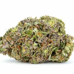 Buy Asian Fantasy Strain