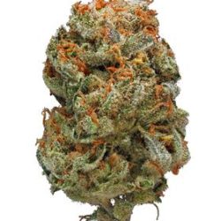 Peanut Butter Breath