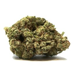 Soul Assassin OG Strain