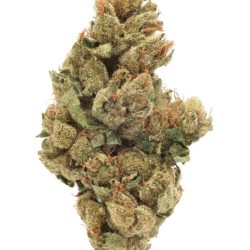 Buy Tahoe OG Indica Strain