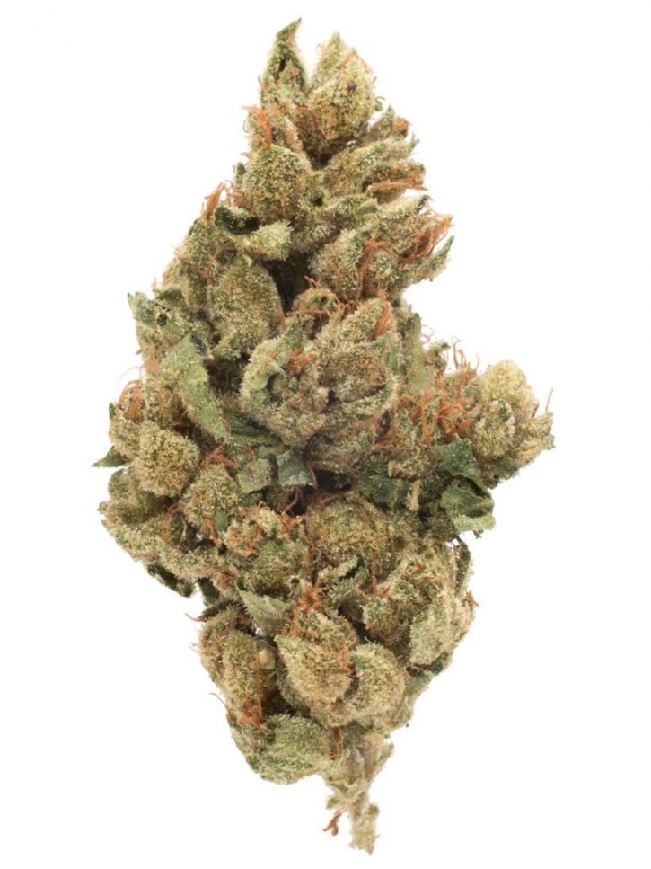 Buy Tahoe OG Indica Strain