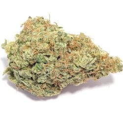 Pink Panties Strain
