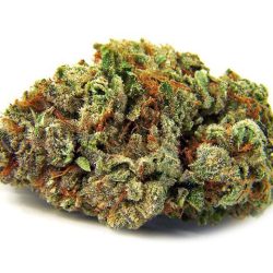 Superglue Flower