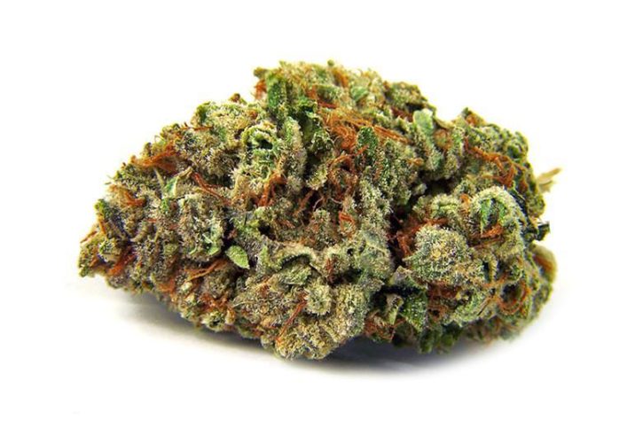 Superglue Flower