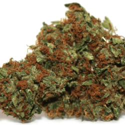 Chemdawg Strain - Dispensary Nearby Riverside-Corona California