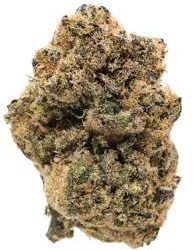 Buy Candyland Strain
