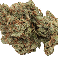 LA Confidential Strain Indica