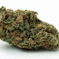 Gelato Strain Online MID Shelf