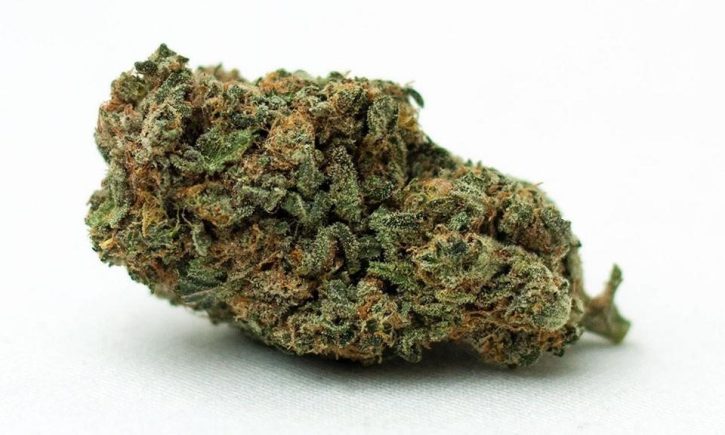Gelato Strain Online MID Shelf