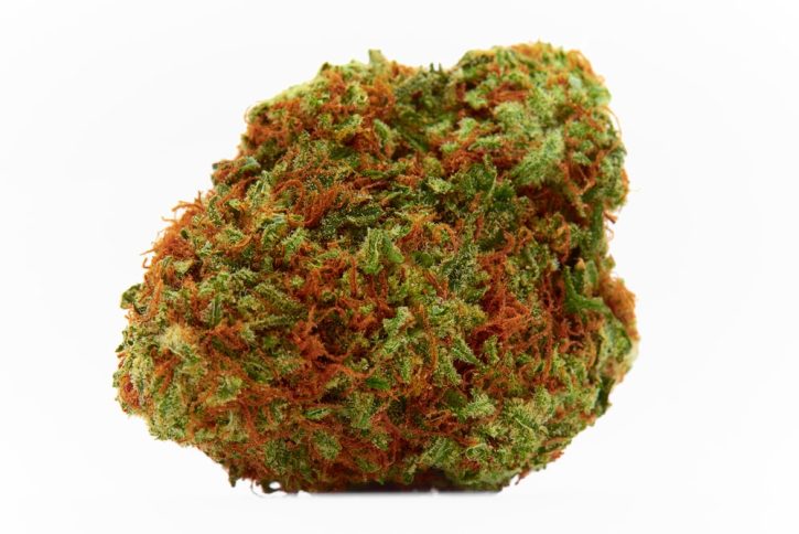 Mango Tango Weed Strain