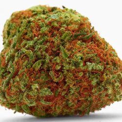 Mango Tango Cannabis Strain