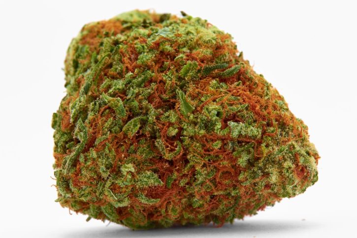 Mango Tango Cannabis Strain