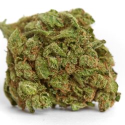 Platinum Kush Strain