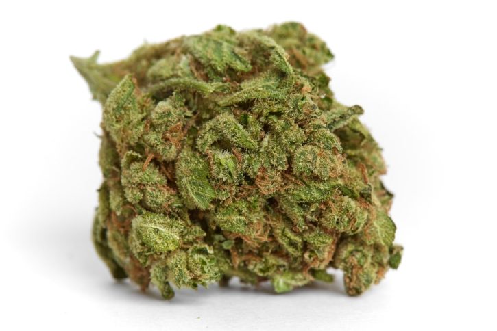 Platinum Kush Strain