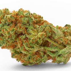 Flo Strain | Aphrodisiac Cannabis