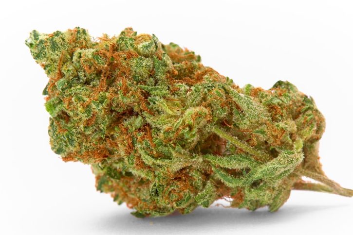 Flo Strain | Aphrodisiac Cannabis