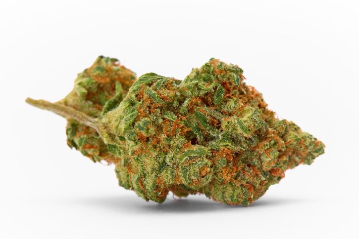 Warhead Cannabis Strain