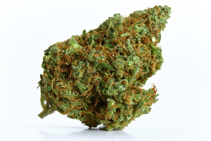 Buy Alice in Wonderland Strain | Relieves Stress and Anxiety