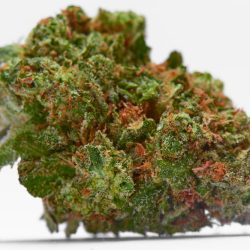 Bad Boy Strain | Packs A Heavy Dose of Energy & Chronic Pain Relief