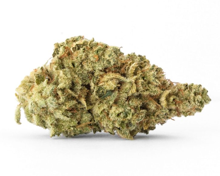 Sour Girl Strain