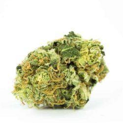 Strawberry Cough Strain | Order Online