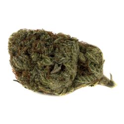 Apple Fritter Strain