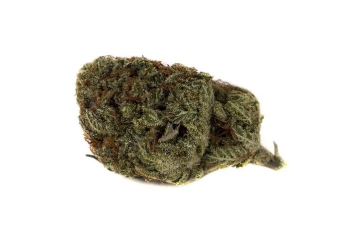 Apple Fritter Strain