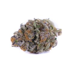 Buy Sundae Driver Strain