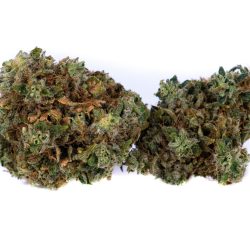 Buy Headband Strain Online