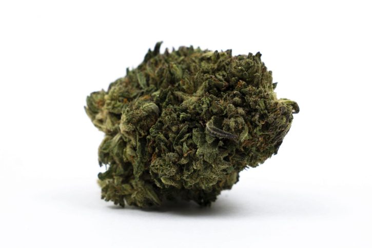 Buy Purple Voodoo Mids