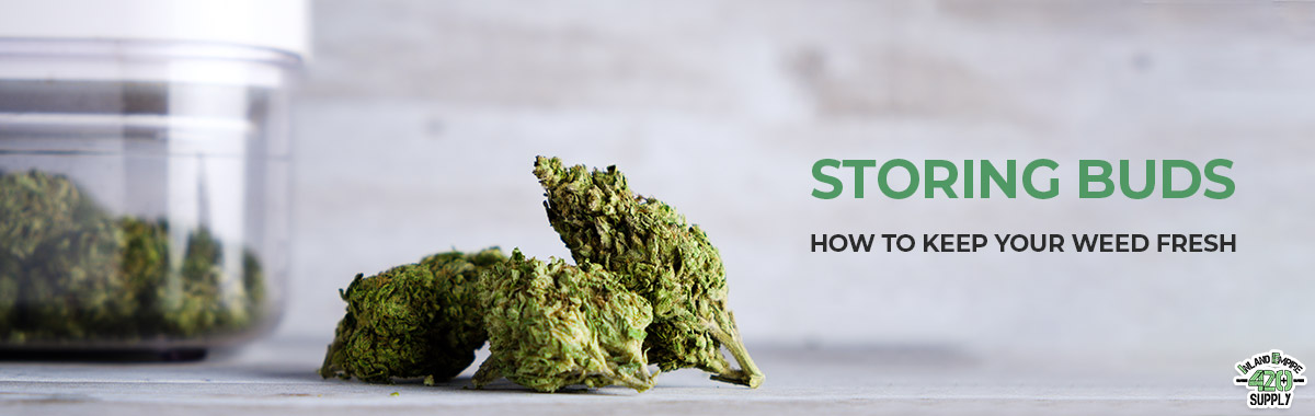 keep weed fresh, how to store weed, best way to store weed for a long time, how long does weed stay good, storing buds