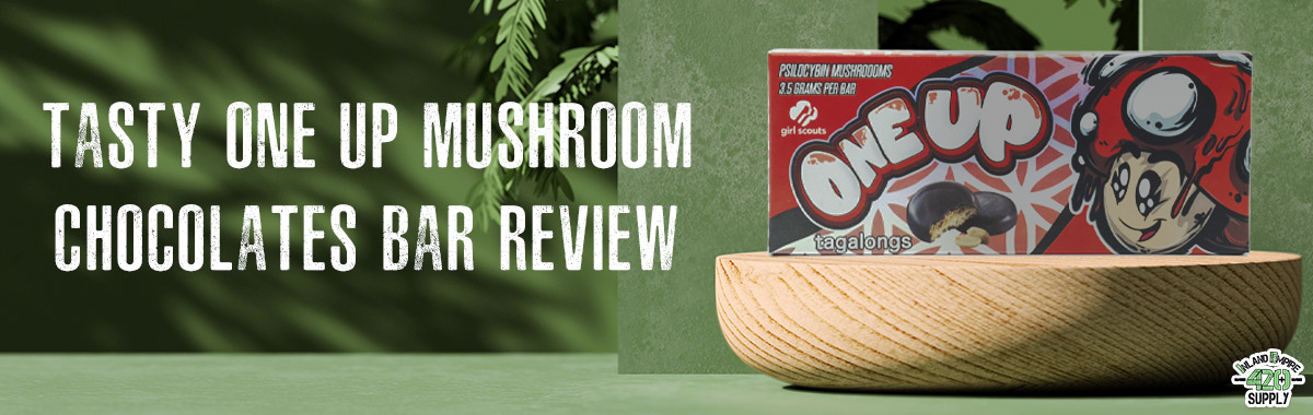 The Tasty One up Mushroom Chocolates Bar 2021 Review