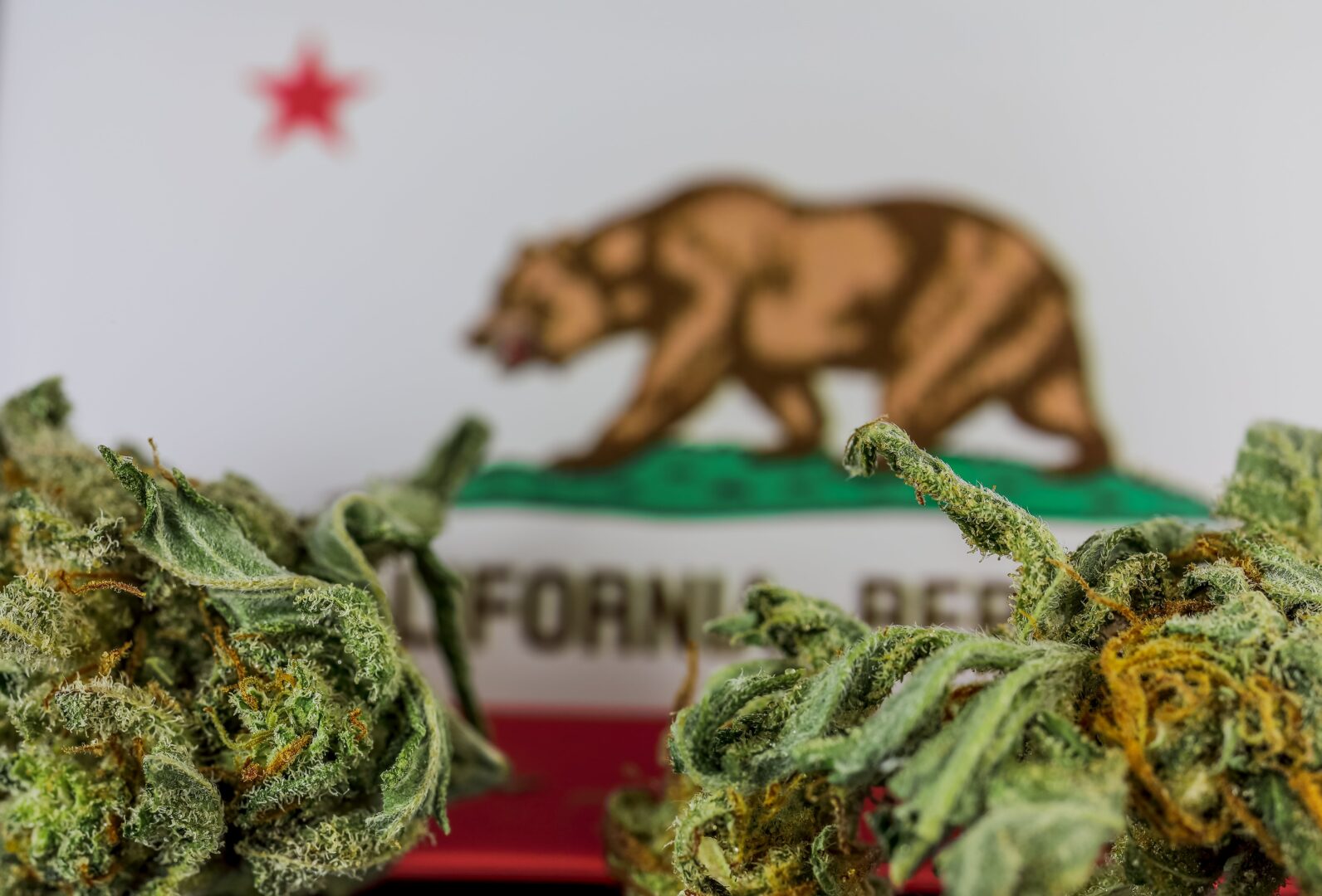 Can you buy edibles online in California? | IE 420 Supply