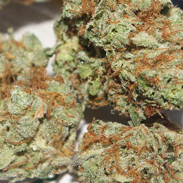 OG Strain Weed