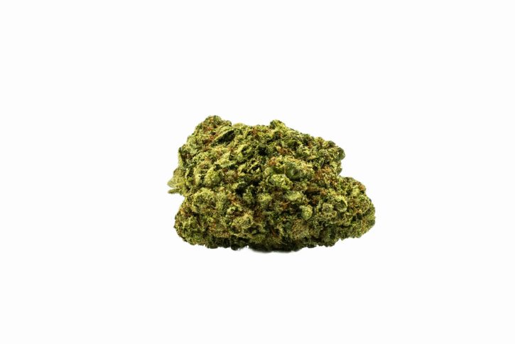 Buy OG Shark Strain Online