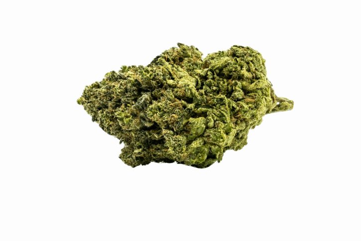 Buy Mimosa Strain