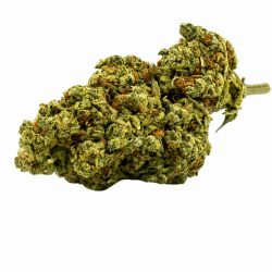 Buy Santa OG Strain X-Mas Weed Online