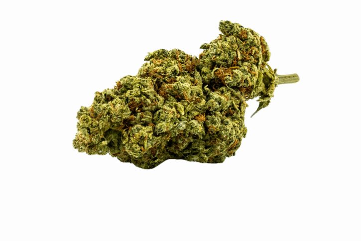 Buy Santa OG Strain X-Mas Weed Online