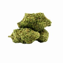 Buy Durban Poison Strain Online