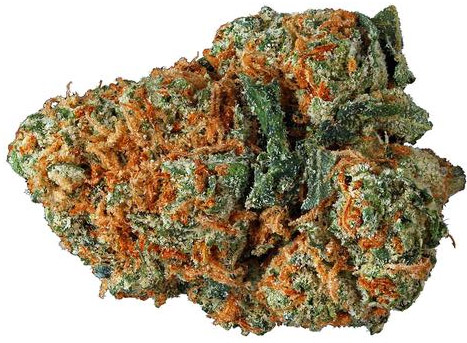 Abusive OG